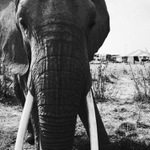 Některá setkání překvapí