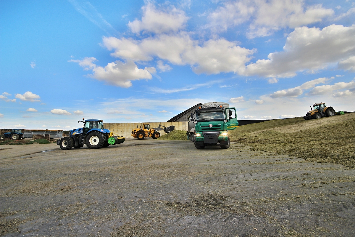Monster Technik in Lesonice