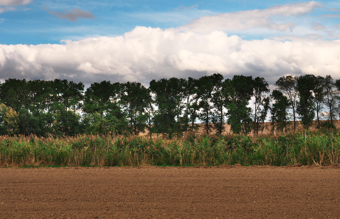 Krajina lidské práce