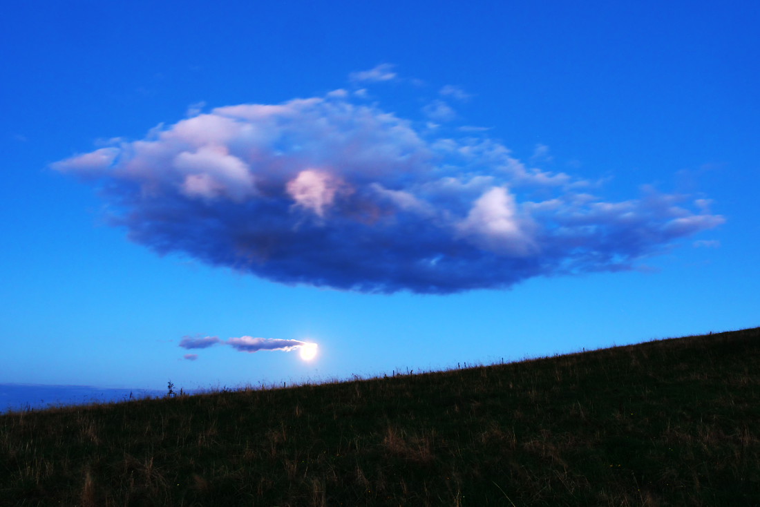 Můj nepodařený krvavý měsíc