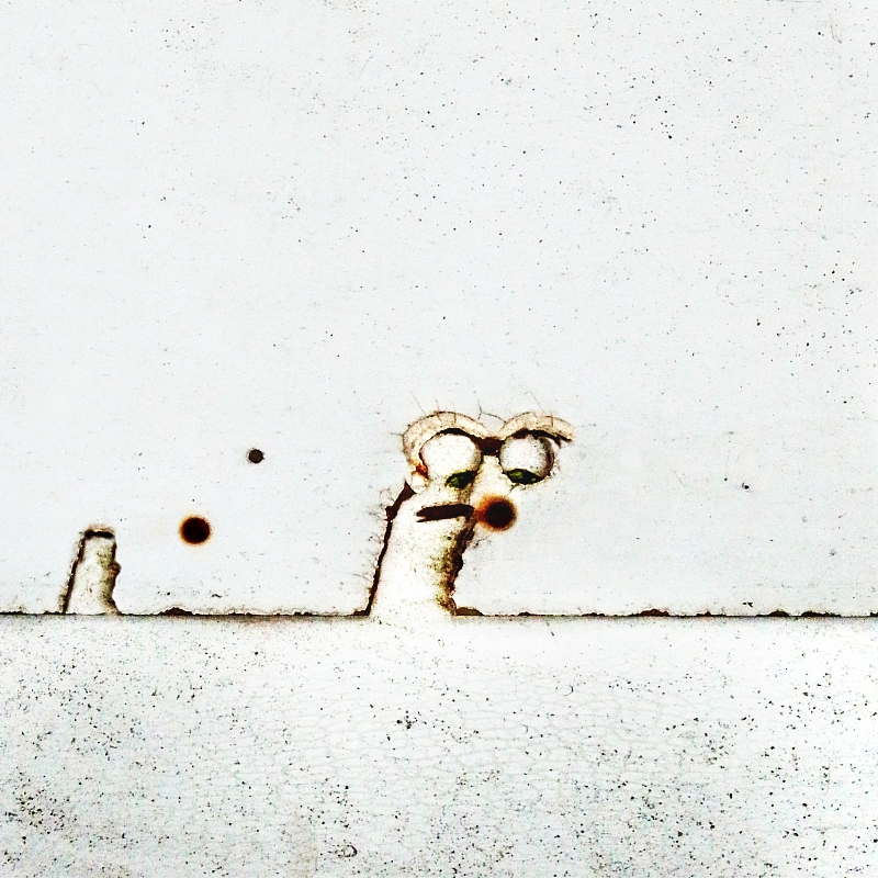 Olgoj chorchoj objeven