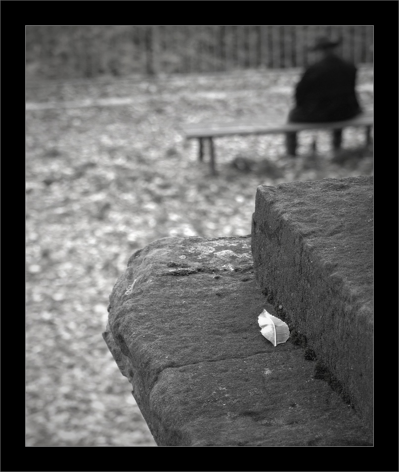 rozjímání před hrobem předků