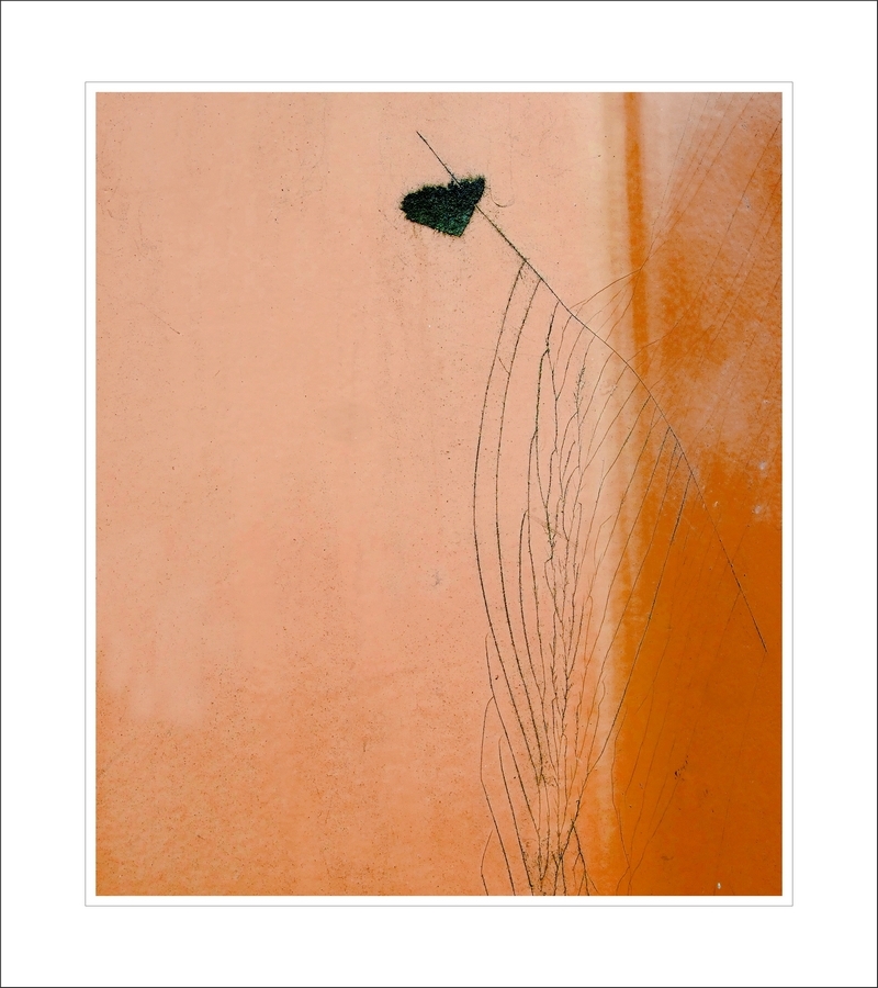 o srdci, které zkamenělo