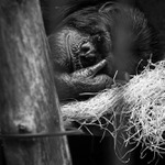 Co si o nás myslí...