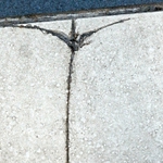 Příliš krátká sukně