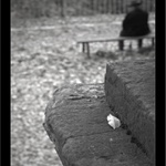 rozjímání před hrobem předků