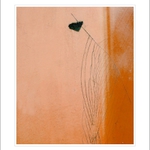 o srdci, které zkamenělo