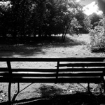 ještě jedna z parku