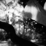  a ještě jedna z parku