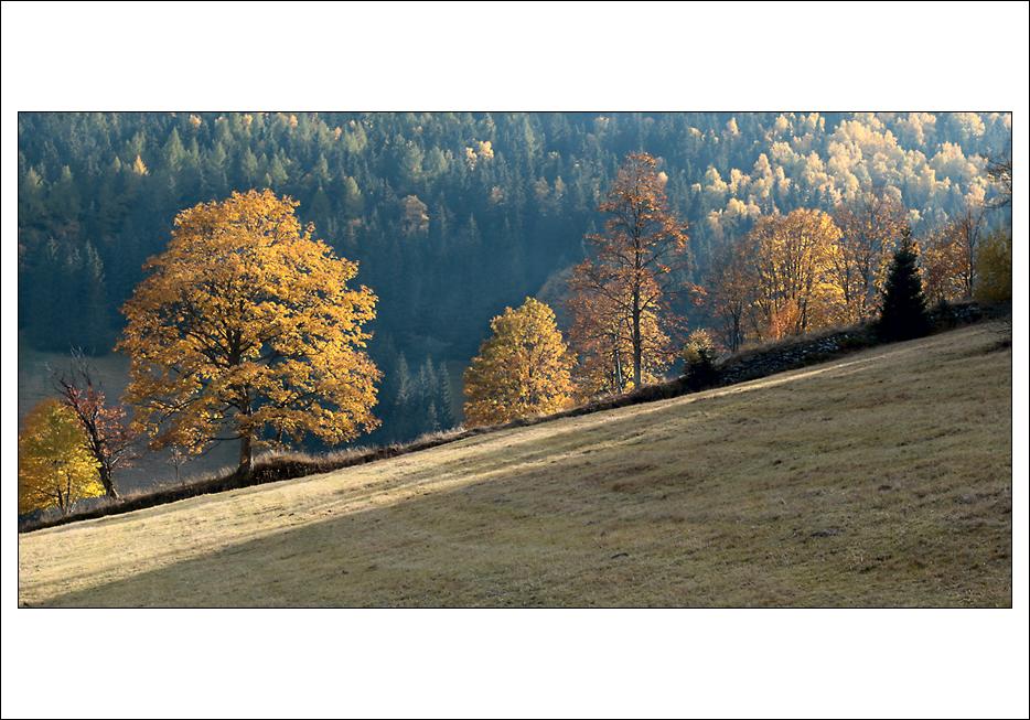 Odpolední procházka II