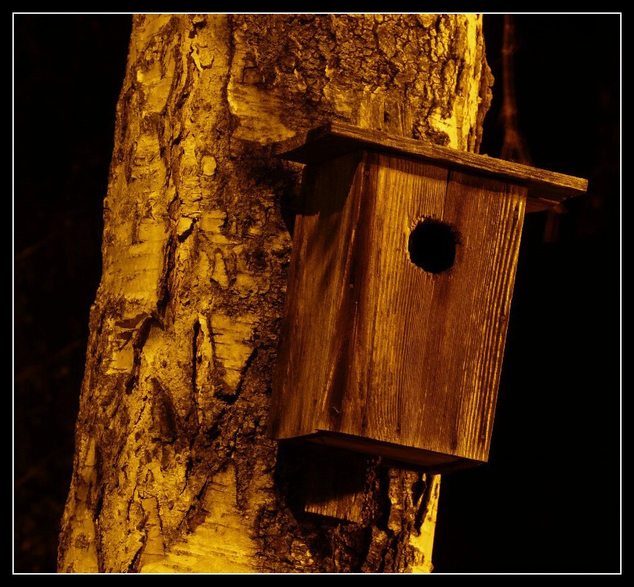 Birdhaus