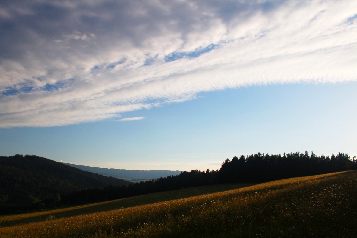 Šumava