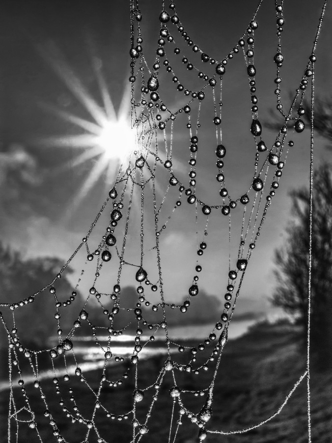 Sluneční perličky B/W