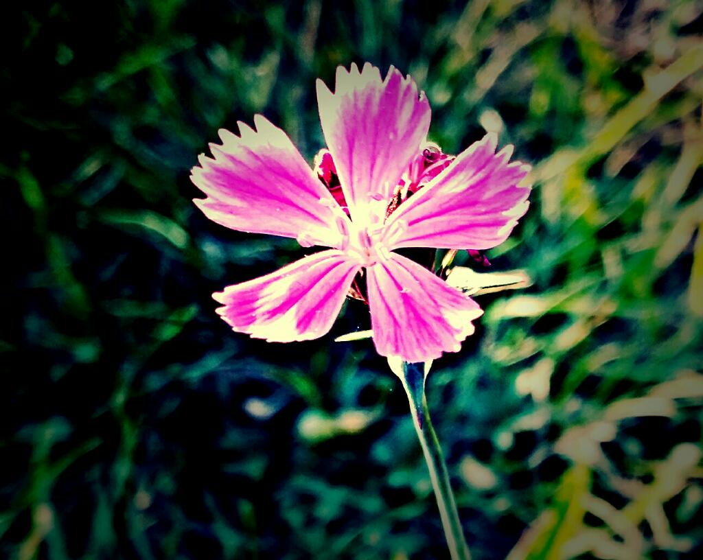 Poslední letní....