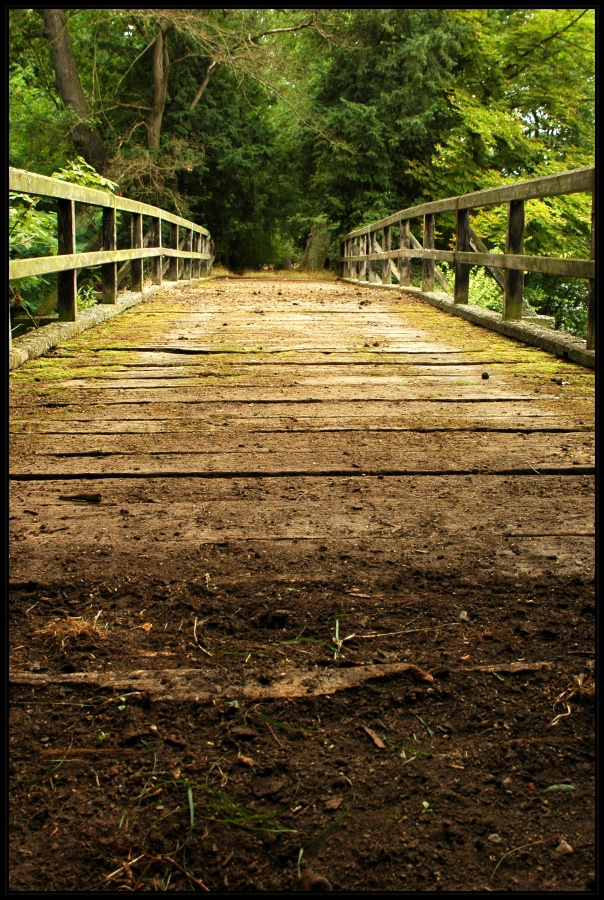 evolution bridge