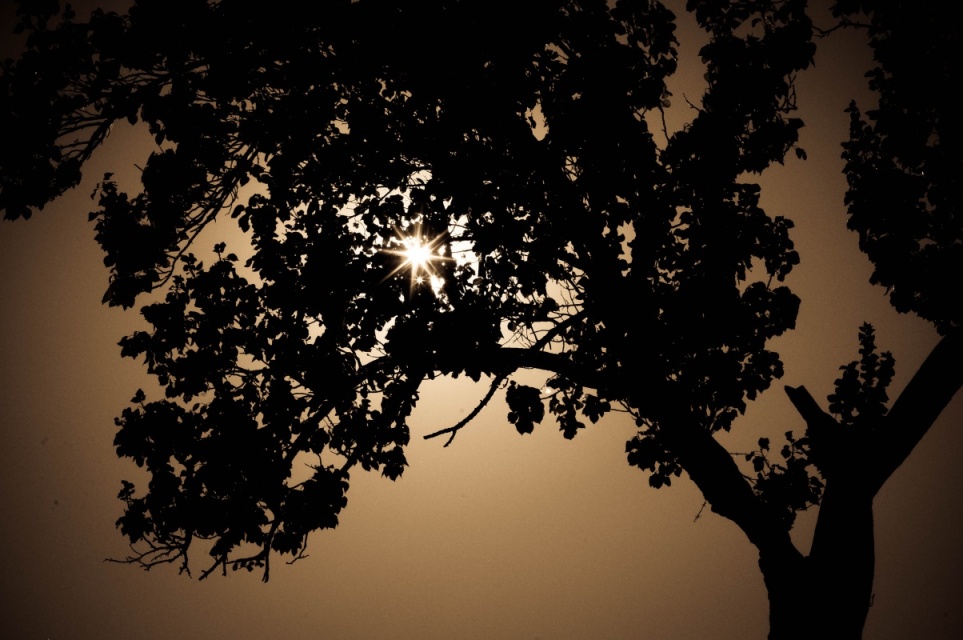 sun