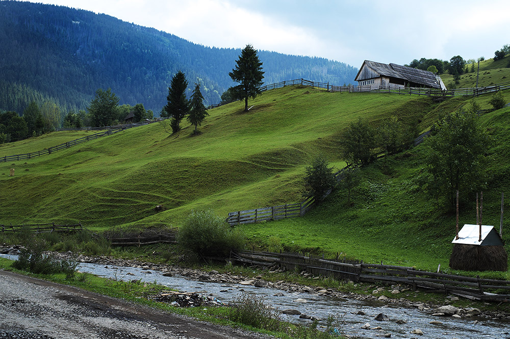 Siněvirská Poljana