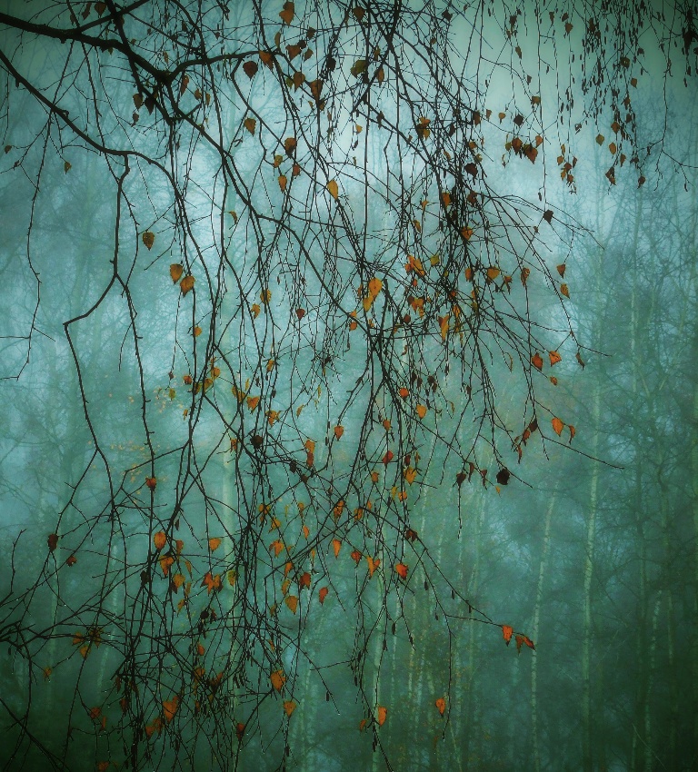 když si podzim rozčesává vlasy