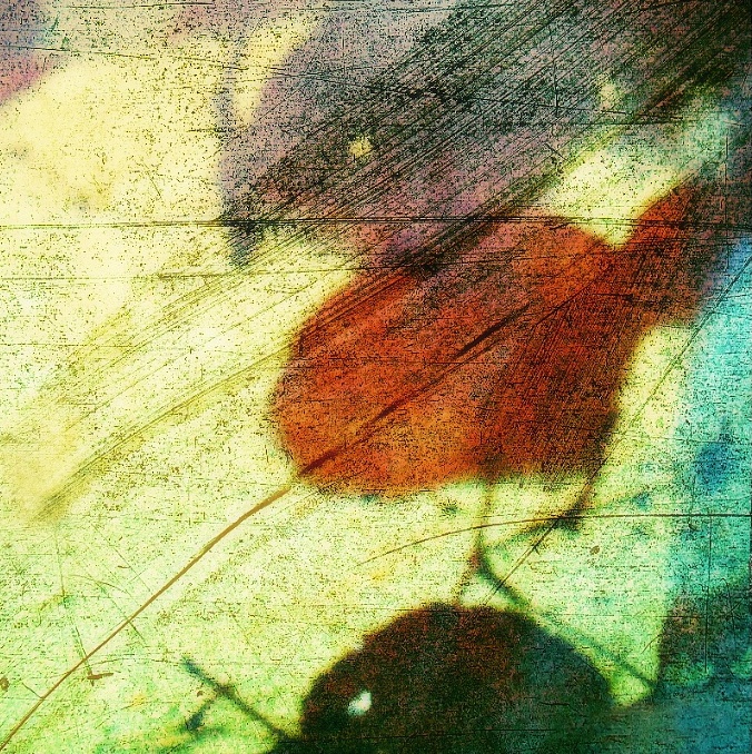 jaro léto podzim zima