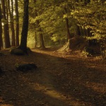 Pohádkové věcičky