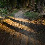 čas dlouhých stínů