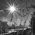 Sluneční perličky B/W