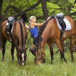 cvalajuc po stepi...