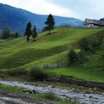 Siněvirská Poljana