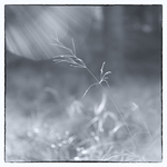 MoML 26. října 2015