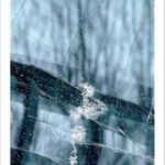 o sněhové královně