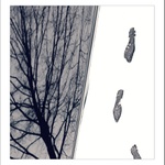 quo vadis člověče ?