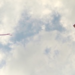 Já ten svůj ocas snad nechytím ...