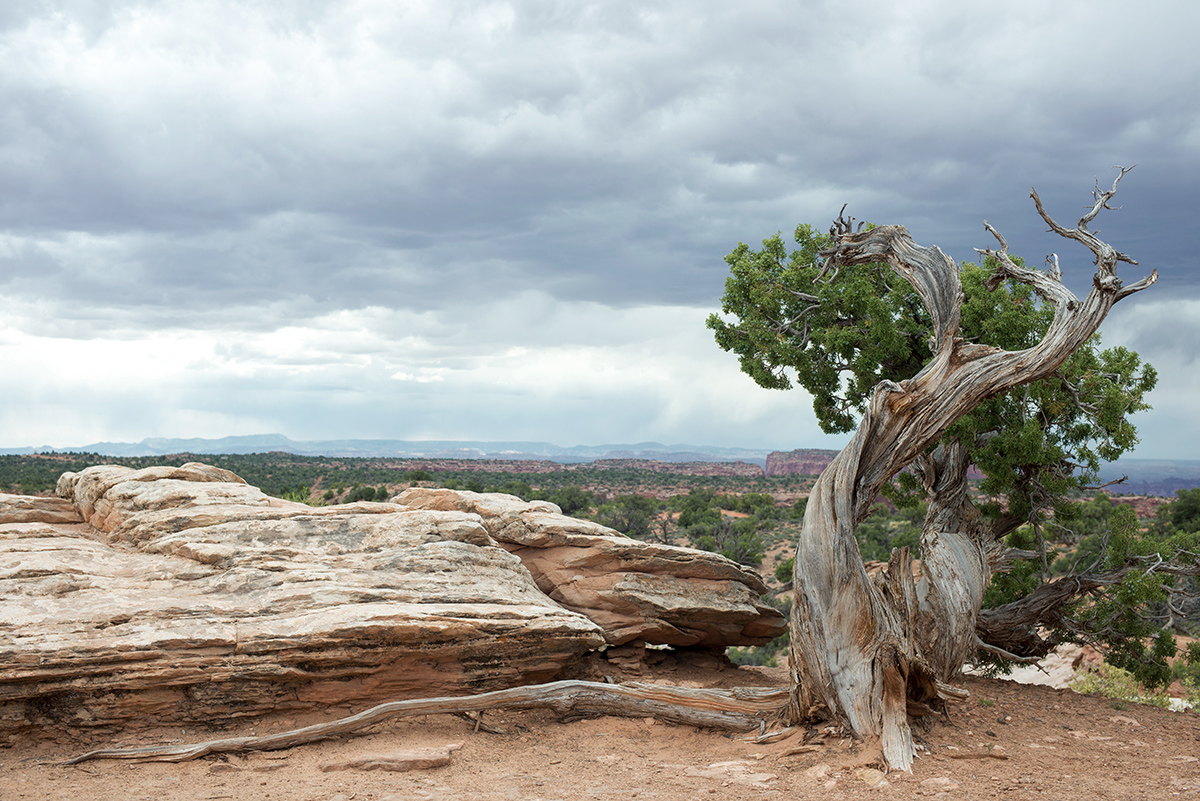 ..strom v Canyonlands..