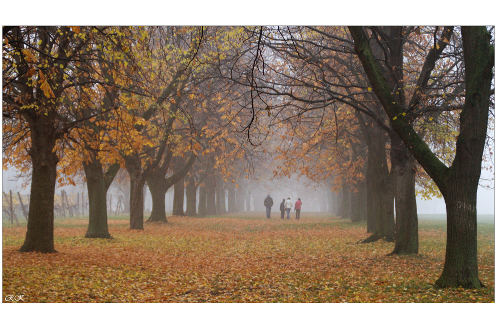 Procházka álejí.....