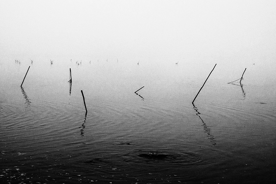 podzim IV