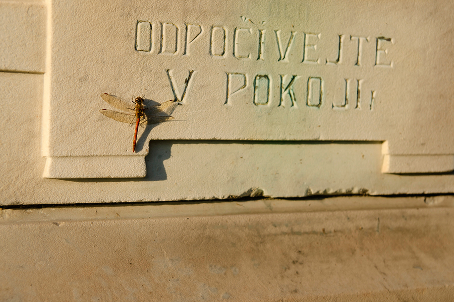 Dušičky 2015…