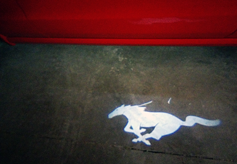 mustang