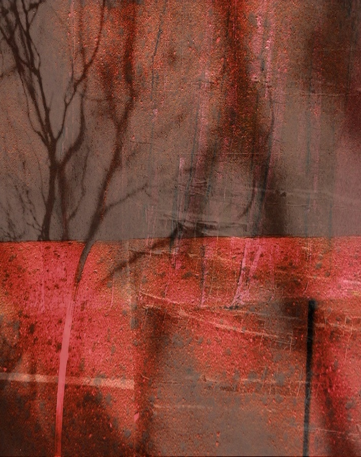 když krvácí strom