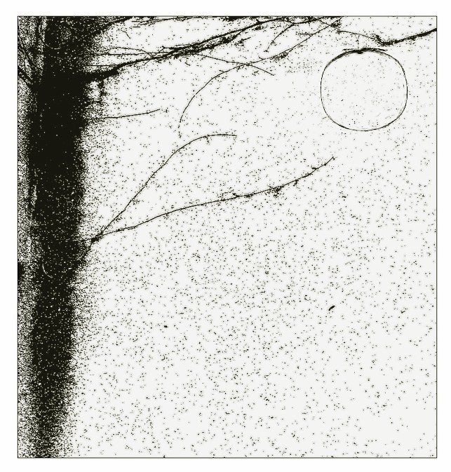 jablko, které nepadlo daleko od stromu