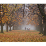 Procházka álejí.....