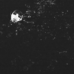 po letech nakouknu .)