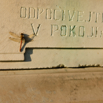 Dušičky 2015…
