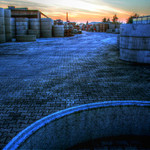 procházka rozkvetlým sadem