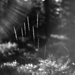 MoML 3. listopadu 2015