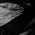 carodejovi narozeniny