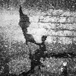 komunard u bile zdi a la cukrova revoluce