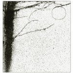 jablko, které nepadlo daleko od stromu