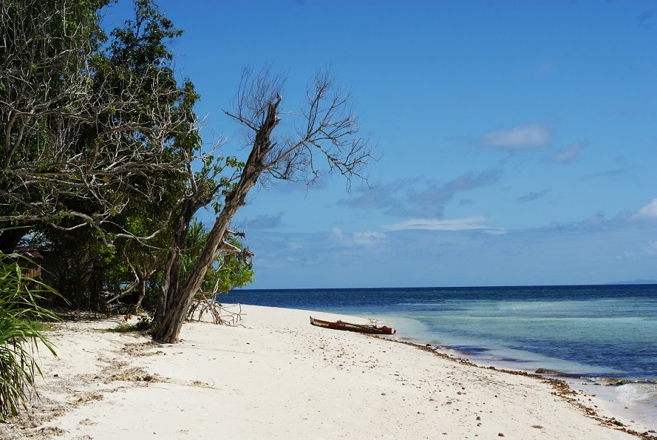 The beach