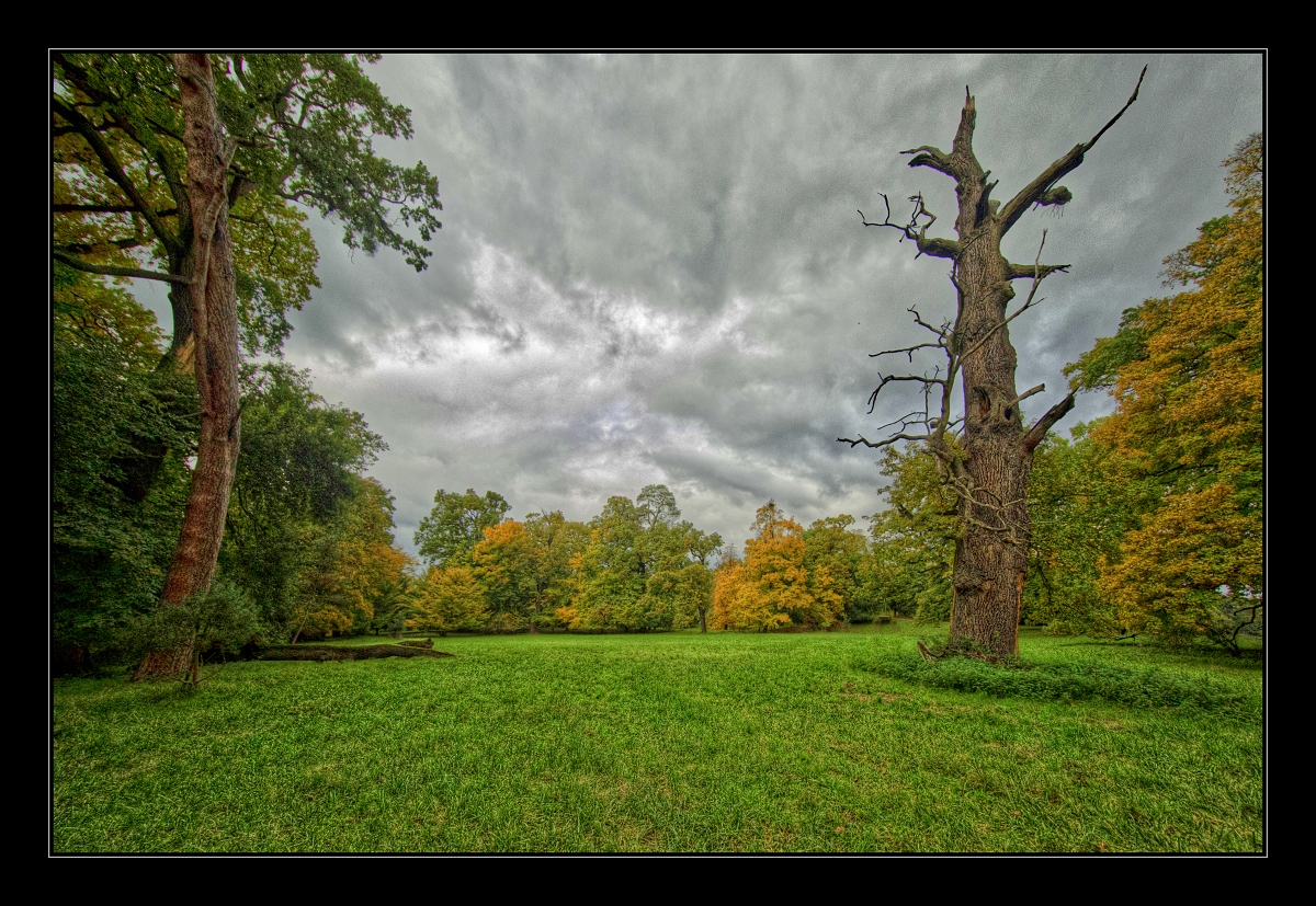 Lednický park