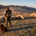 do večera ďaleko ...